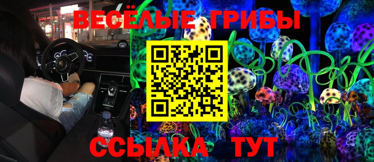 Галлюциногенные грибы Psilocybe Бутурлиновка