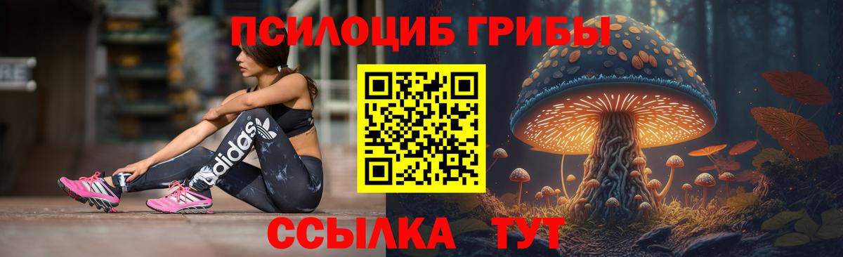 Галлюциногенные грибы Cubensis  Вход с VPN  Бутурлиновка 